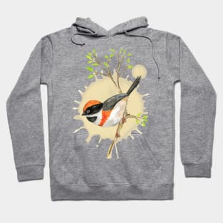 Black-throated bushtit watercolor Hoodie